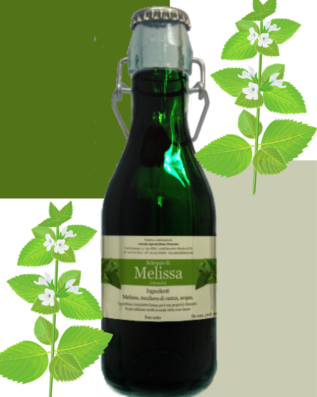 Sirop de mélisse