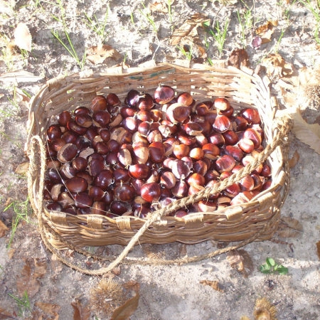 la crème de marrons